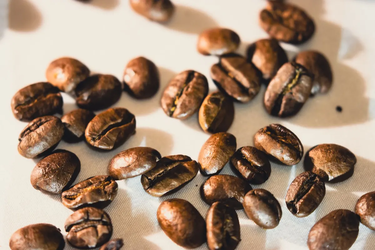 Grains de café sur fond clair, image d'illustration : renifler la culotte