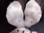 Chaussette femme portée pendant 3semaine