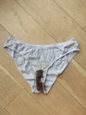 Culotte aux règles séchées