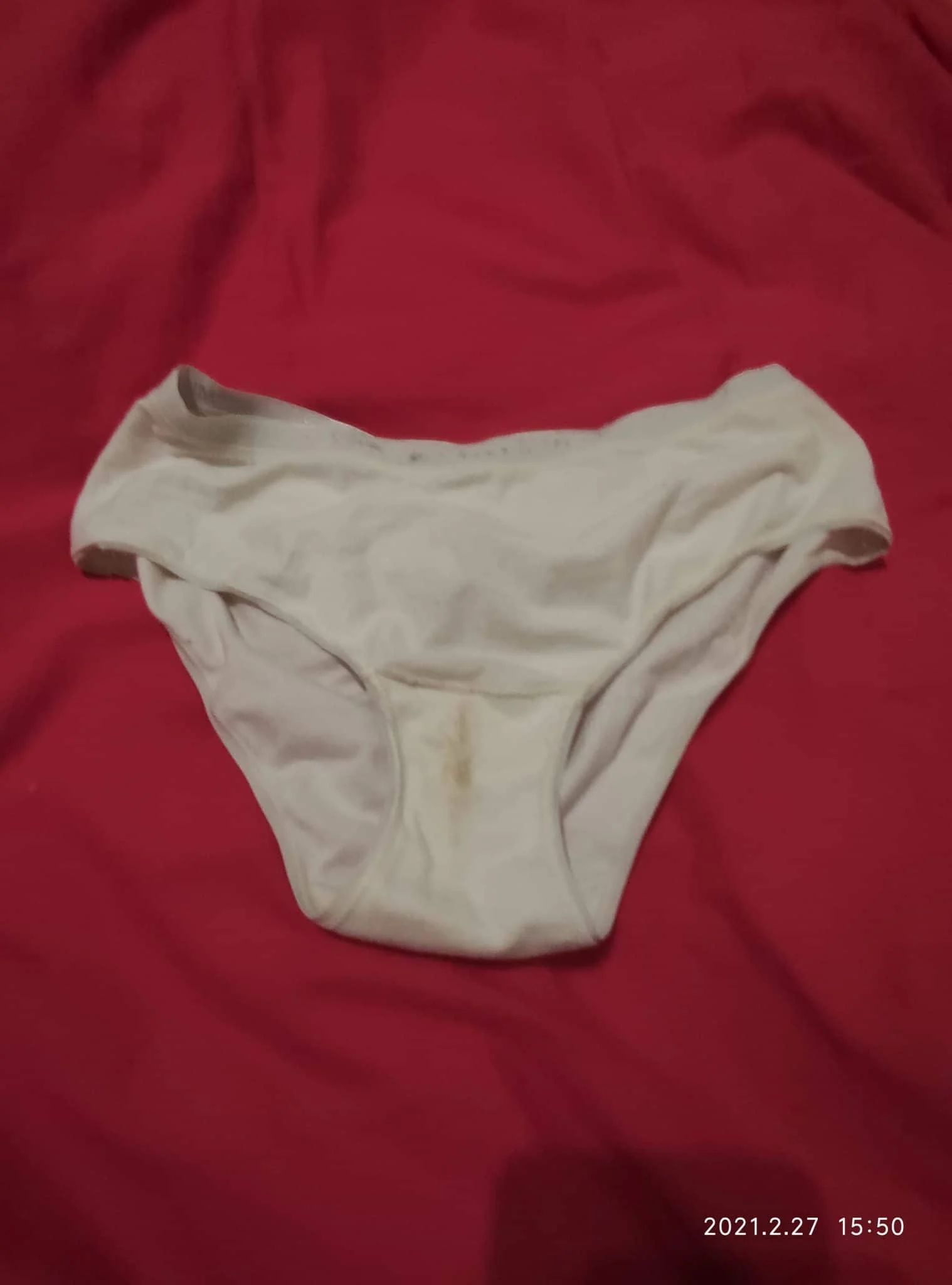 Culotte