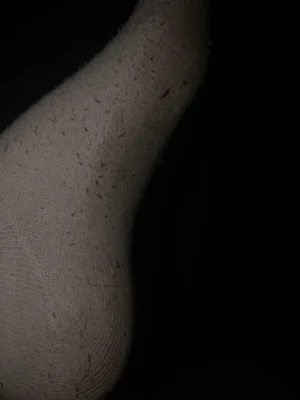 Chaussette porté 5jours de suite