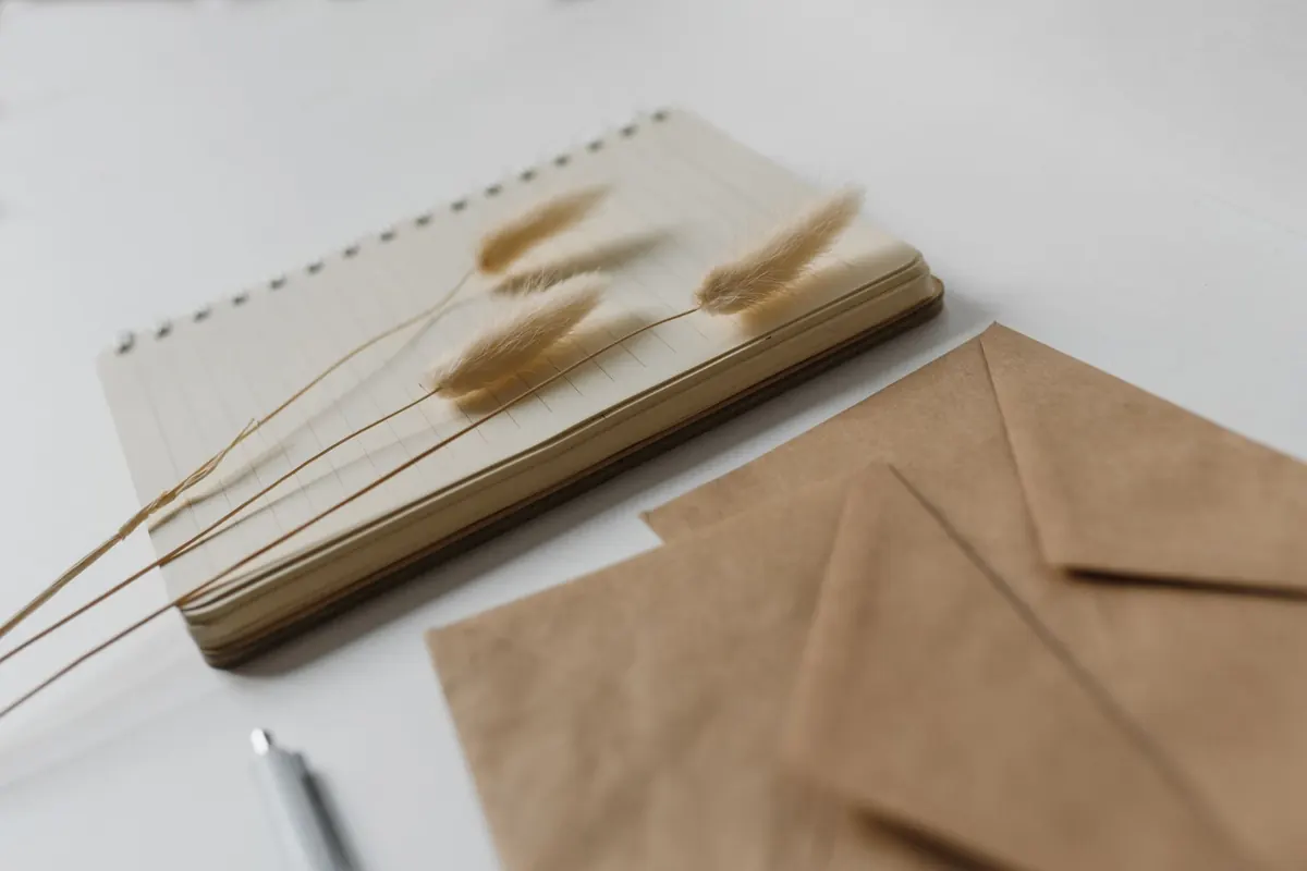 Enveloppes kraft et herbes séchées, en illustration de « acheteur de culottes et anxiété »