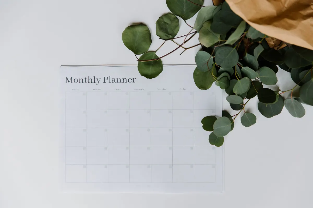 Planning mensuel et branches d'eucalyptus, en illustration de « culottes portées qui ne se vendent pas »