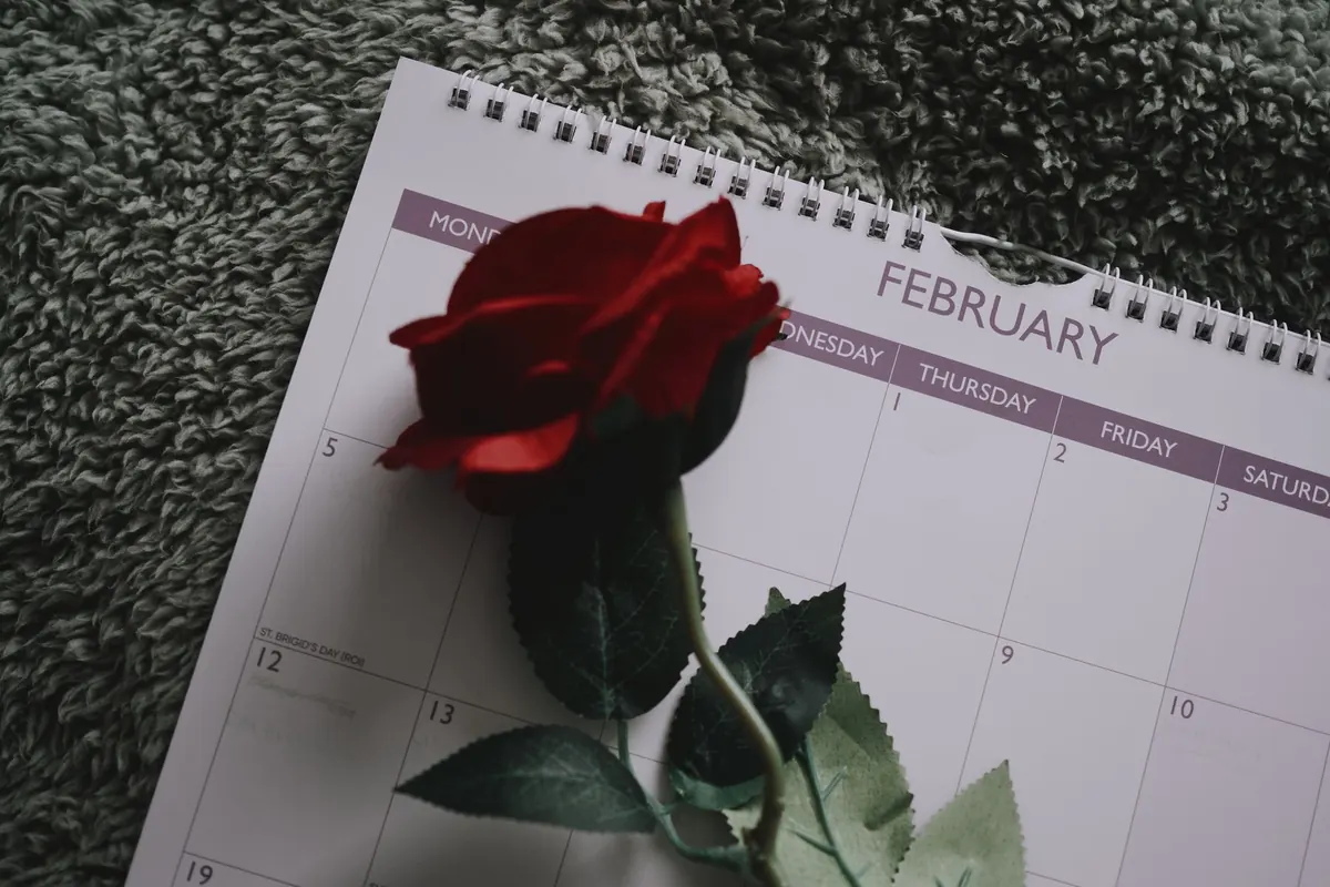 Rose rouge posée sur un calendrier, en illustration de « KylieWilde interview »