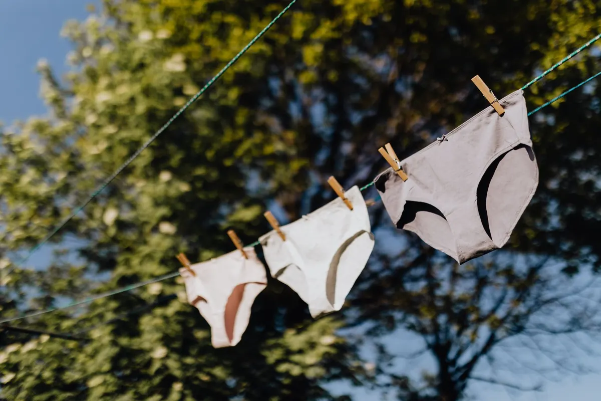 Culottes étendues au soleil, en illustration de « premier achat de culottes usagées »