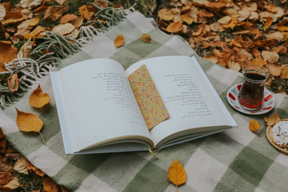 Livre ouvert sur une couverture d'automne, en illustration de « vendre des culottes avec une maladie chronique »
