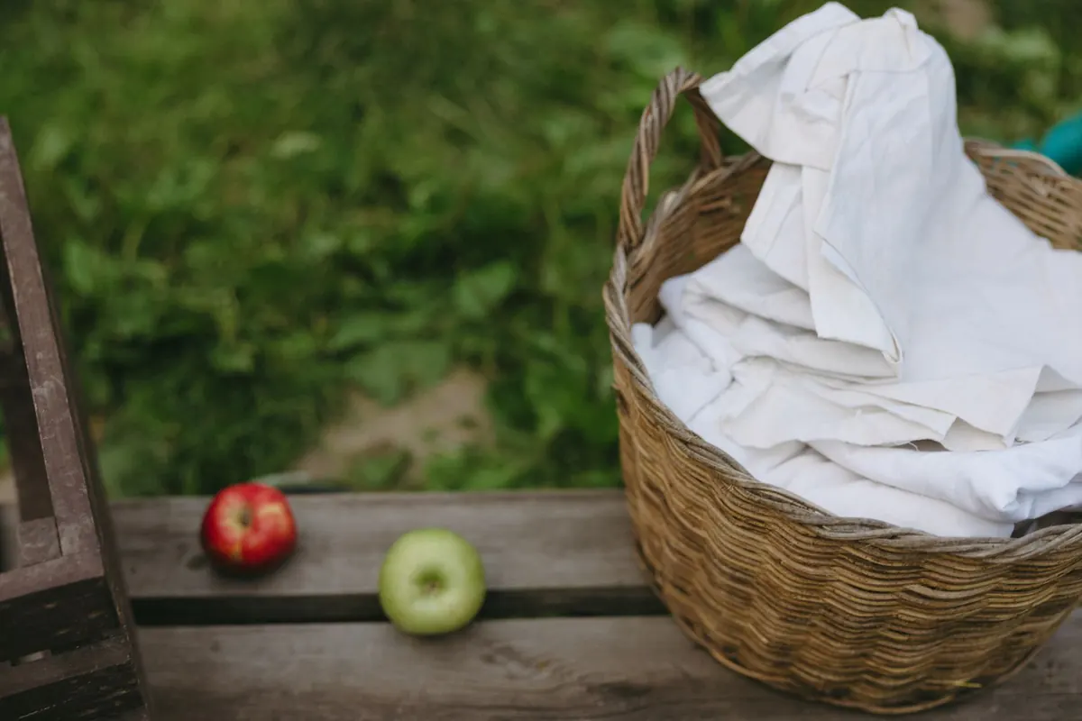 Panier de linge dans le jardin, en illustration de « expédier des chaussures portées »