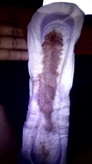 Serviette Hygiénique Usagée