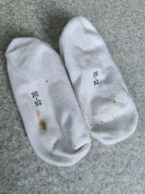 Socquettes blanches en coton – portées 2 jours