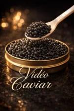 Vidéo caviars
