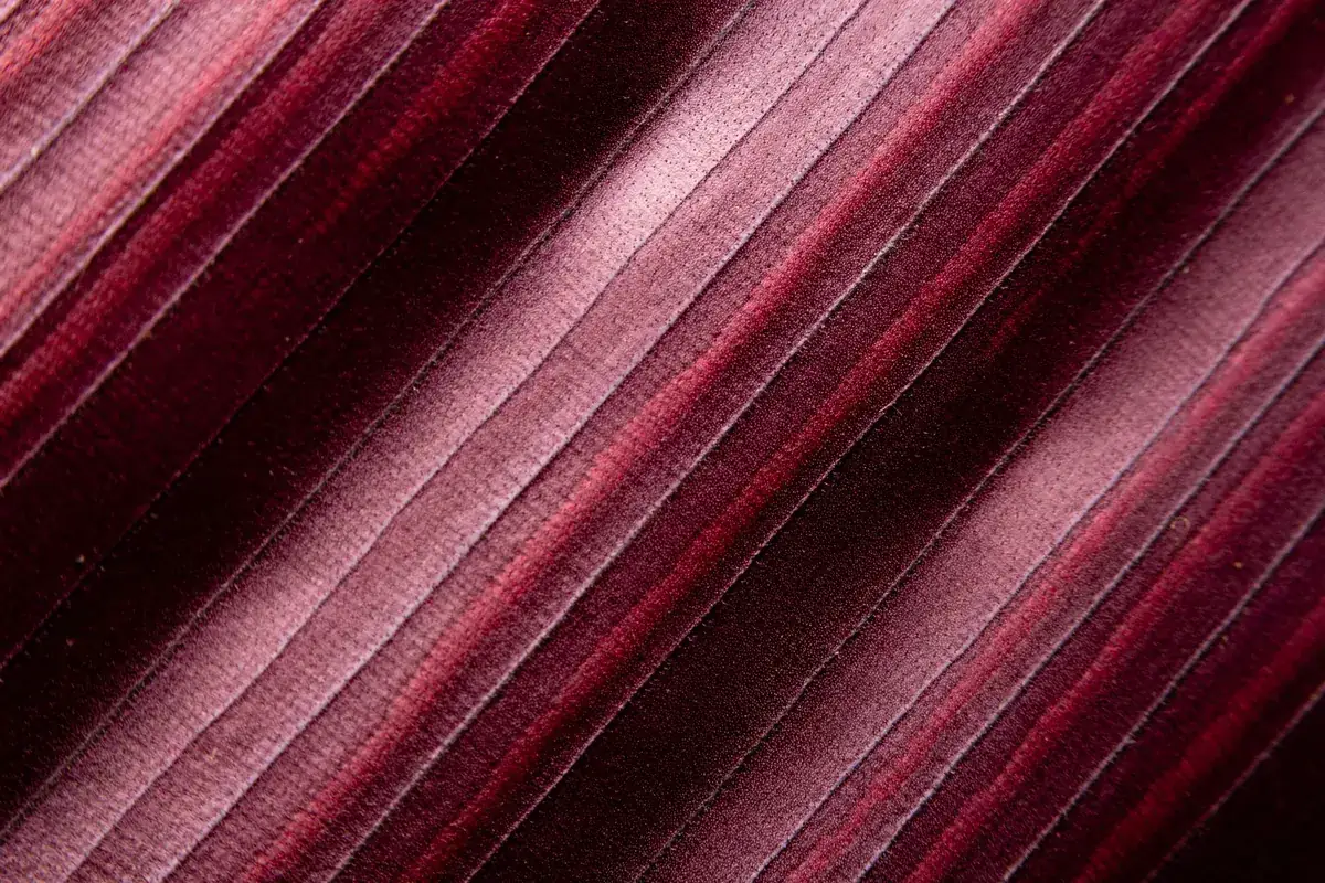 Velours bordeaux rayé, en illustration de « arnaque culotte portée »