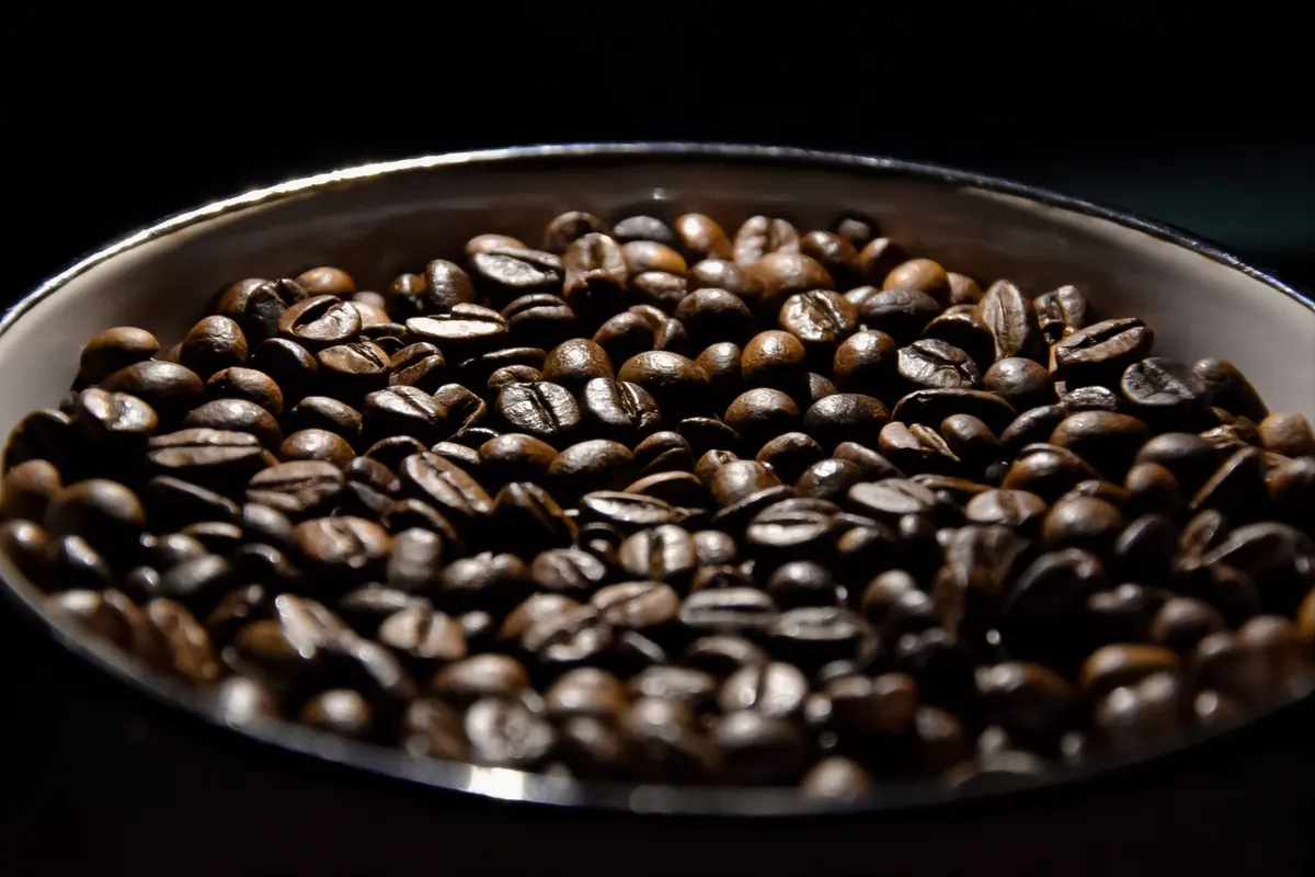 Bol de grains de café, image d'illustration : conserver culotte portée odeur