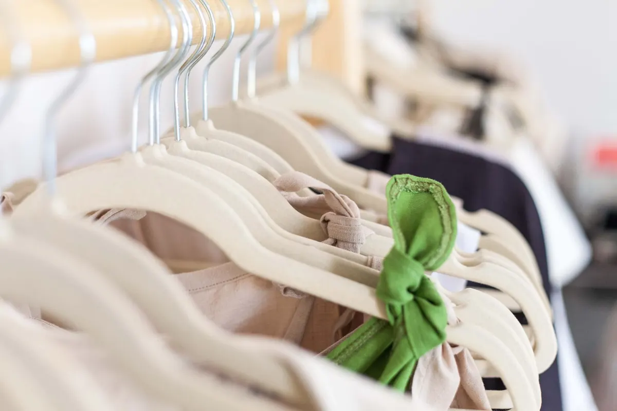 Cintres clairs, en illustration de « hygiène vendre culotte portée »