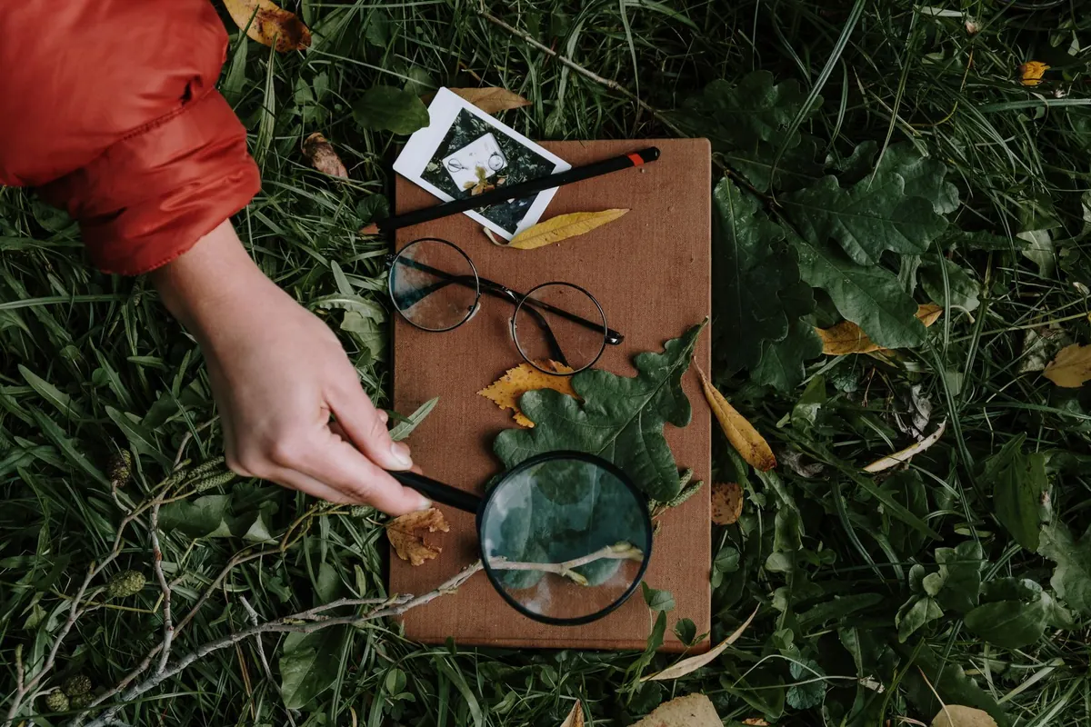 Loupe posée dans l'herbe, en illustration de « vendre culotte portée anonymement »